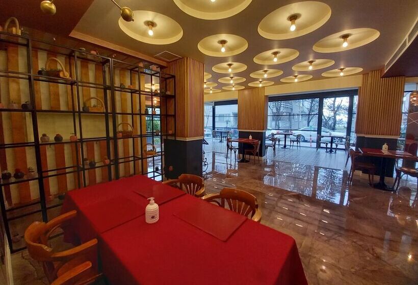 هتل Bakirkoy Tashan Business & Airport