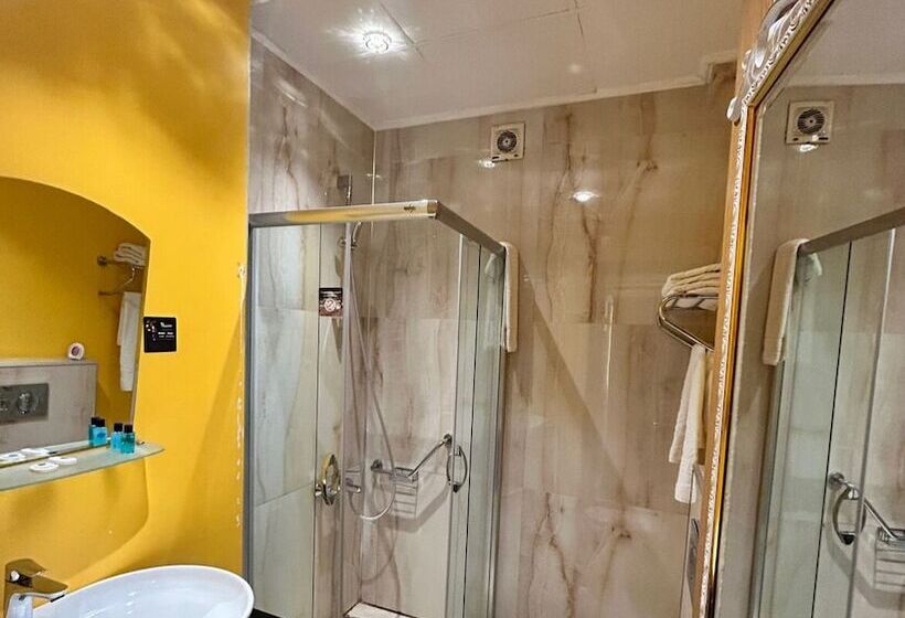 هتل Bakirkoy Tashan Business & Airport