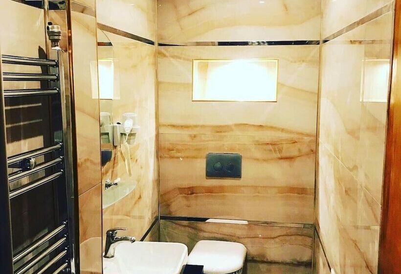 هتل Bakirkoy Tashan Business & Airport