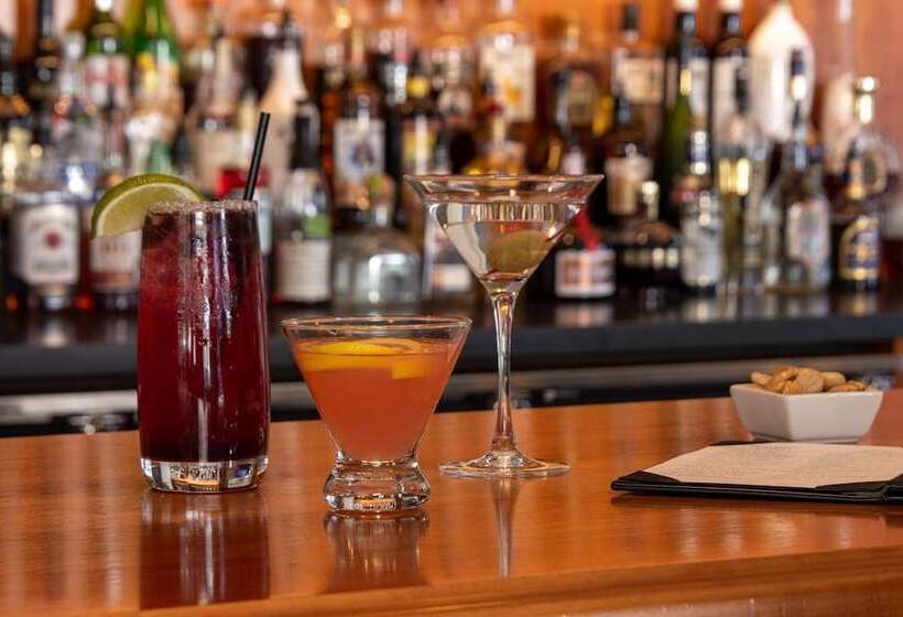 Отель Bar Harbor Inn