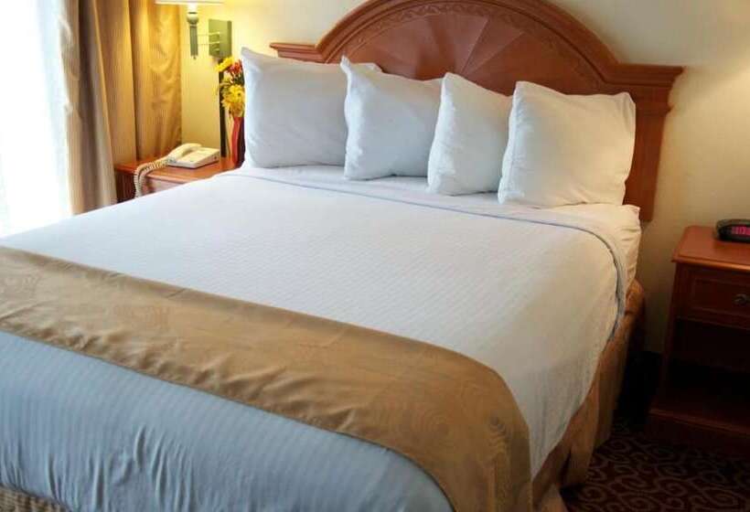 Отель Barcelona Suites