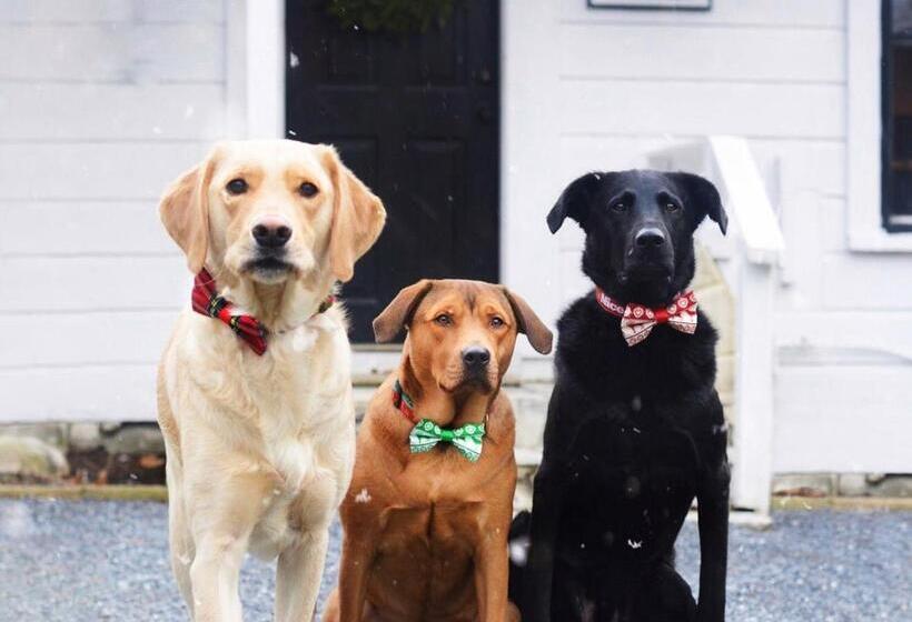 فندق Barrows House