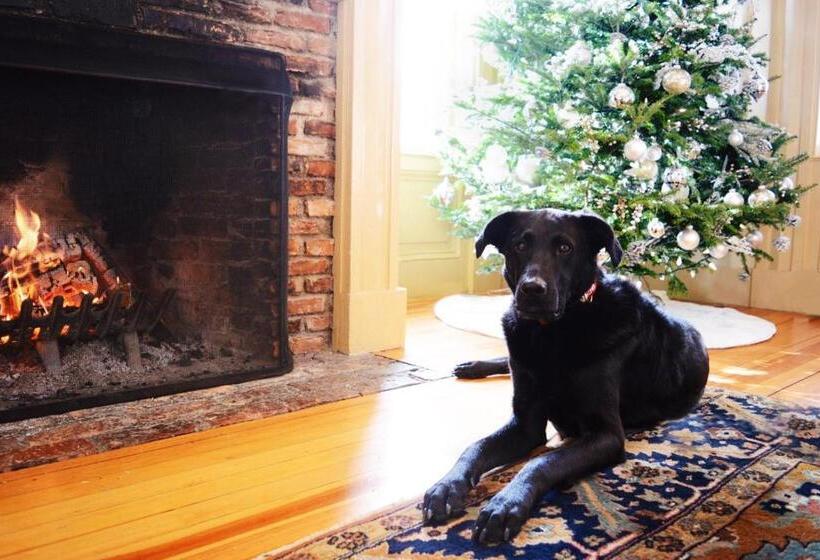 فندق Barrows House