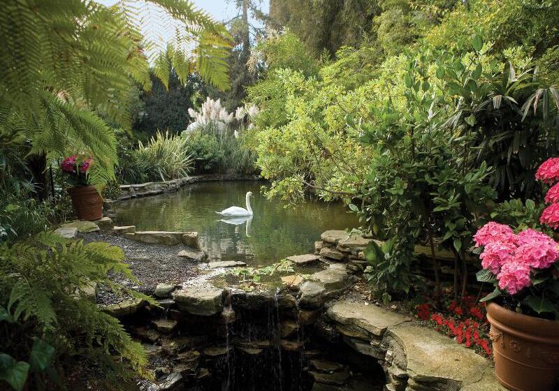 ホテル Belair  Dorchester Collection