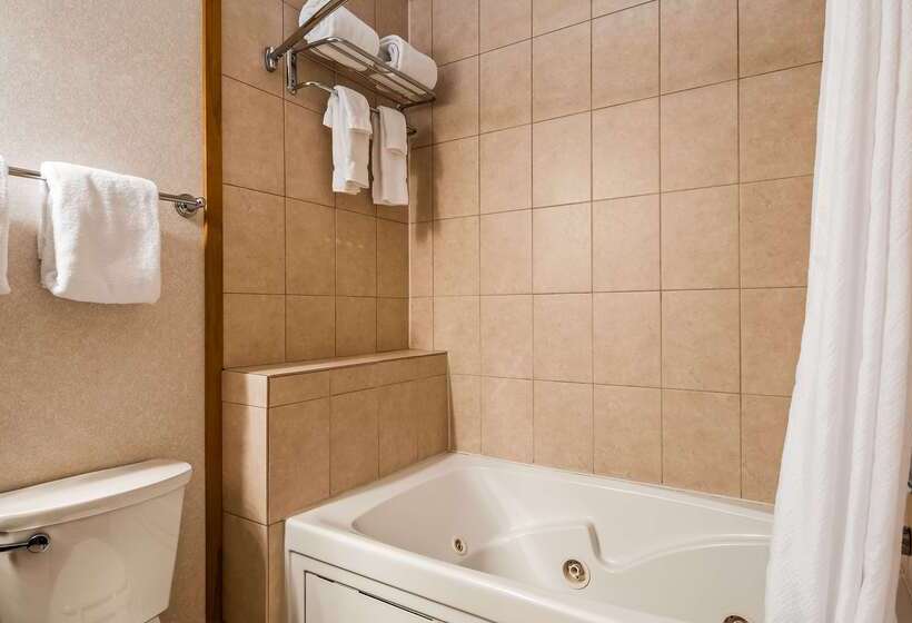 فندق Best Western Adirondack Inn