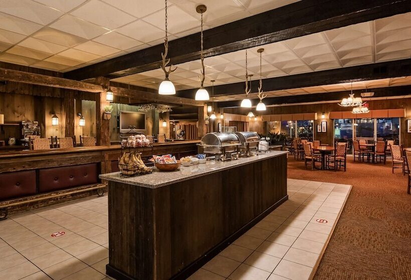 فندق Best Western Adirondack Inn