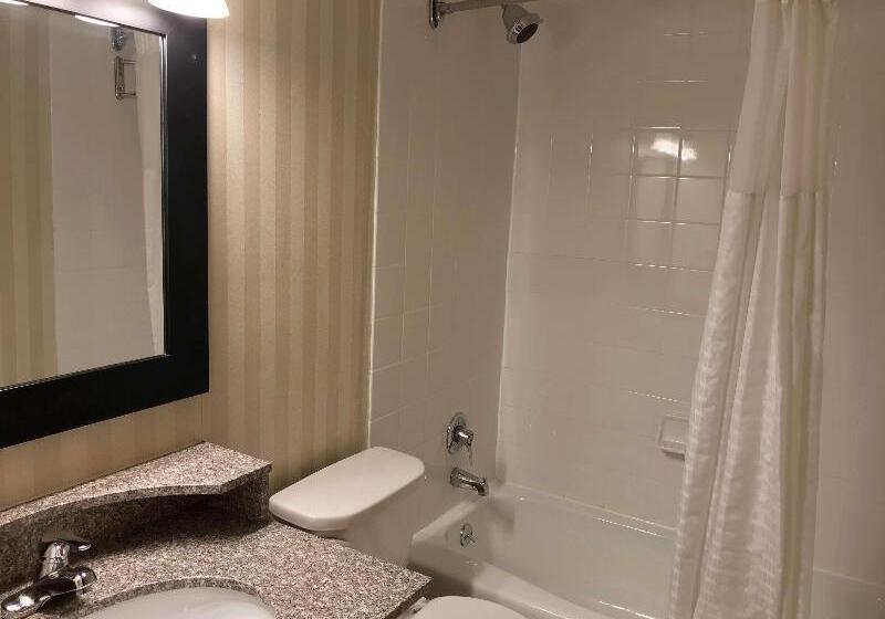 فندق Best Western Adirondack Inn