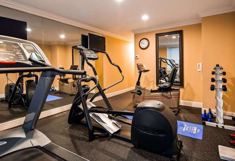 فندق Best Western Plus Airport Plaza