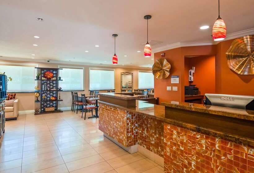 فندق Best Western Plus Airport Plaza