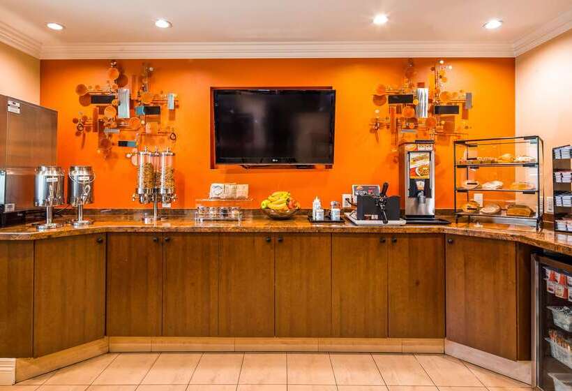 فندق Best Western Plus Airport Plaza