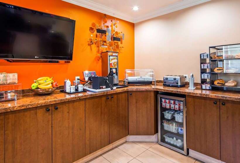 فندق Best Western Plus Airport Plaza