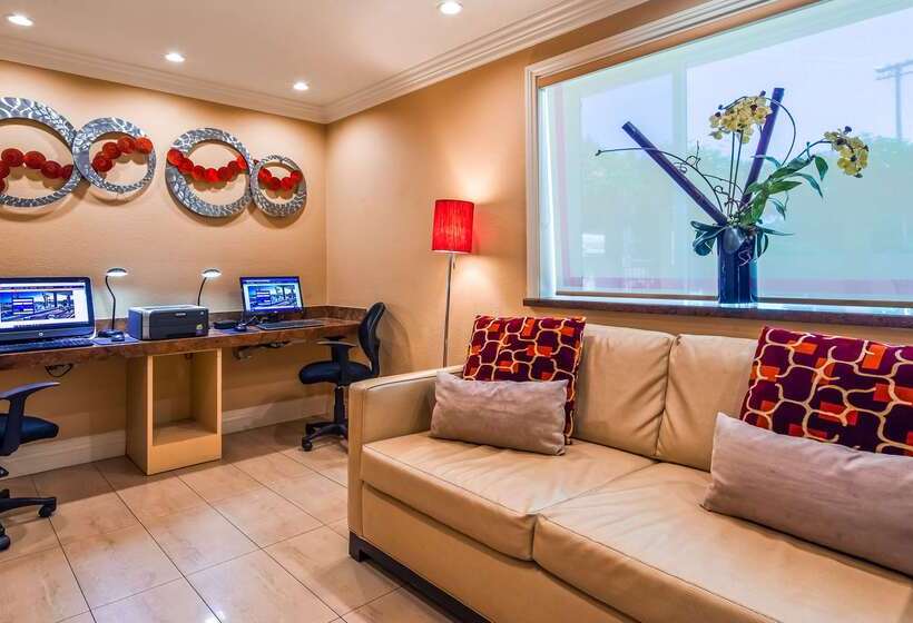 فندق Best Western Plus Airport Plaza