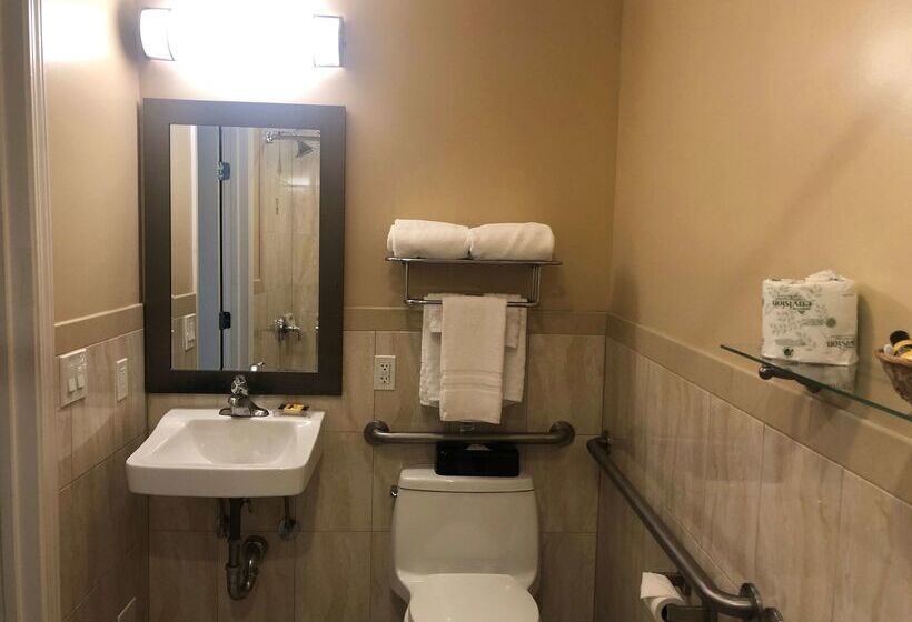 فندق Best Western Plus Airport Plaza