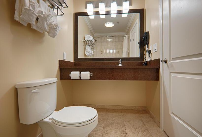 فندق Best Western Plus Airport Plaza