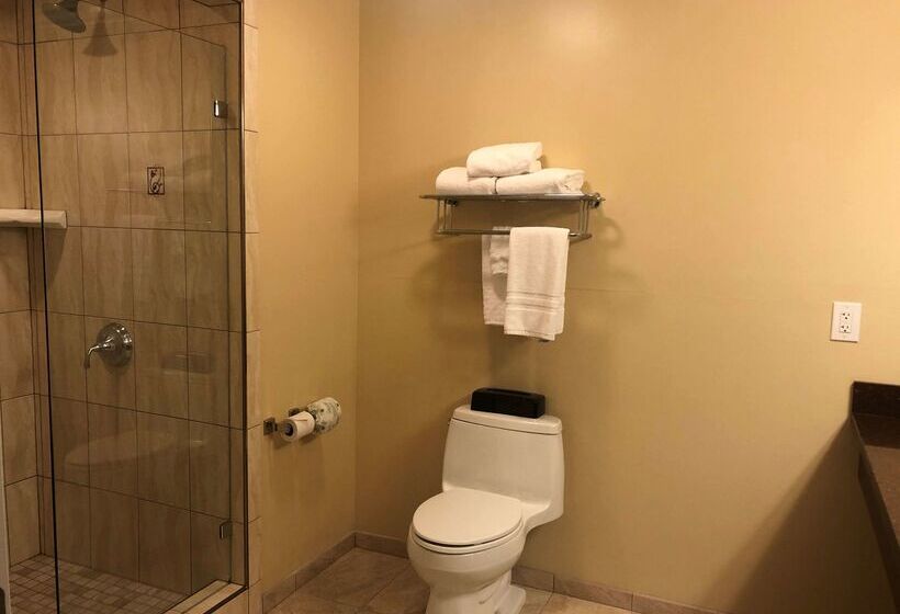 فندق Best Western Plus Airport Plaza