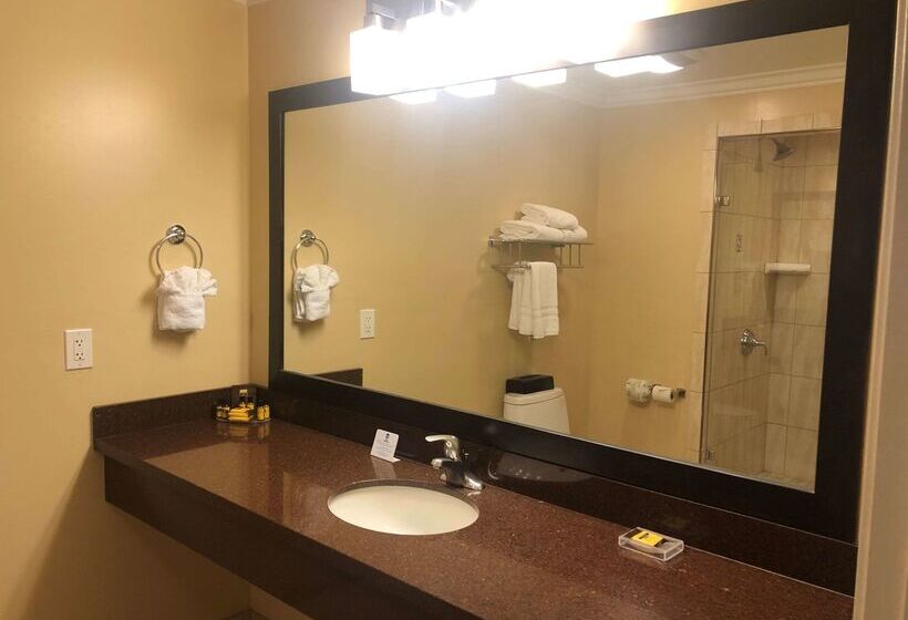 فندق Best Western Plus Airport Plaza