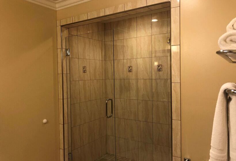 هتل Best Western Plus Airport Plaza