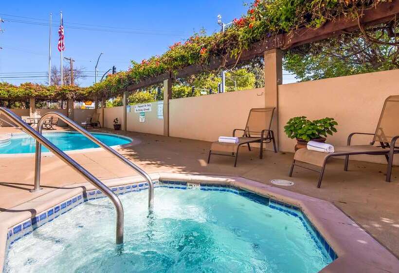 فندق Best Western Plus Airport Plaza