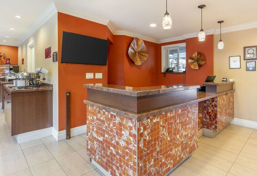 فندق Best Western Plus Airport Plaza