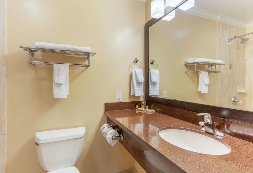 فندق Best Western Plus Airport Plaza