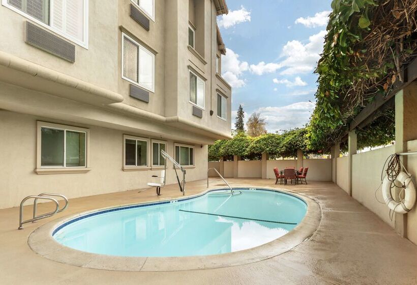 فندق Best Western Plus Airport Plaza