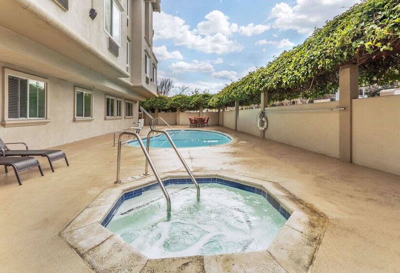 فندق Best Western Plus Airport Plaza