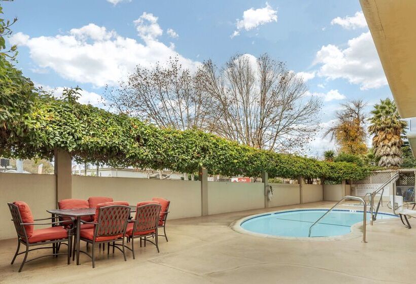 فندق Best Western Plus Airport Plaza