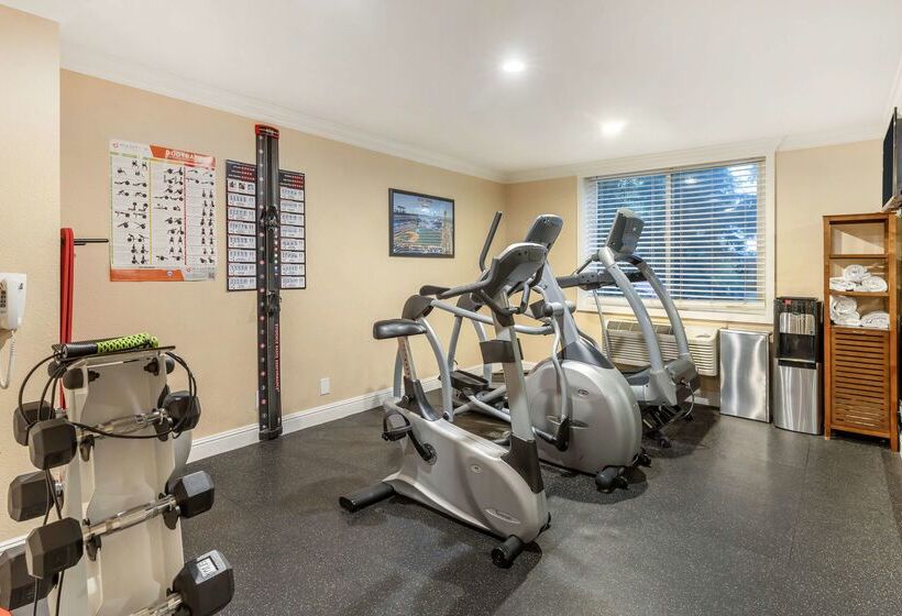 فندق Best Western Plus Airport Plaza