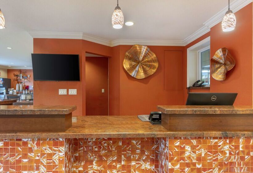 فندق Best Western Plus Airport Plaza