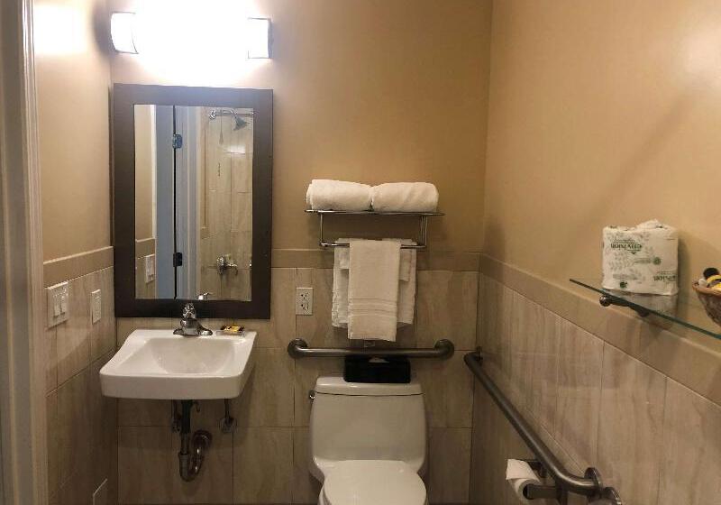 فندق Best Western Plus Airport Plaza