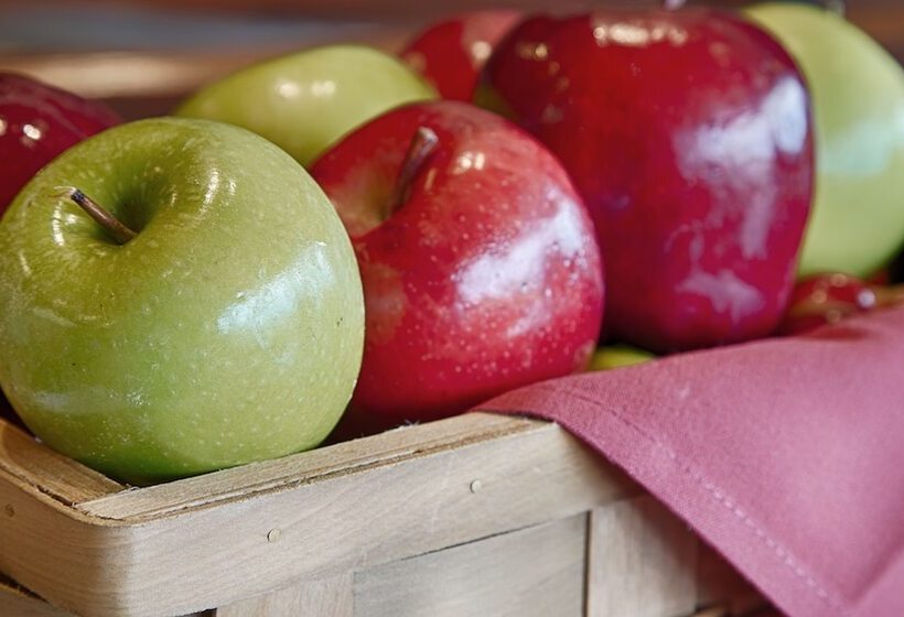 فندق Best Western Plus Airport Plaza