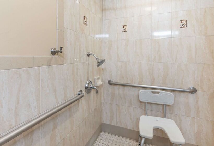 בית מלון כפרי Best Western Plus Airport Plaza