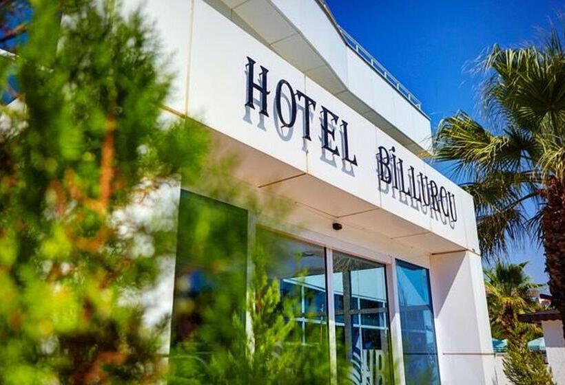 호텔 Billurcu