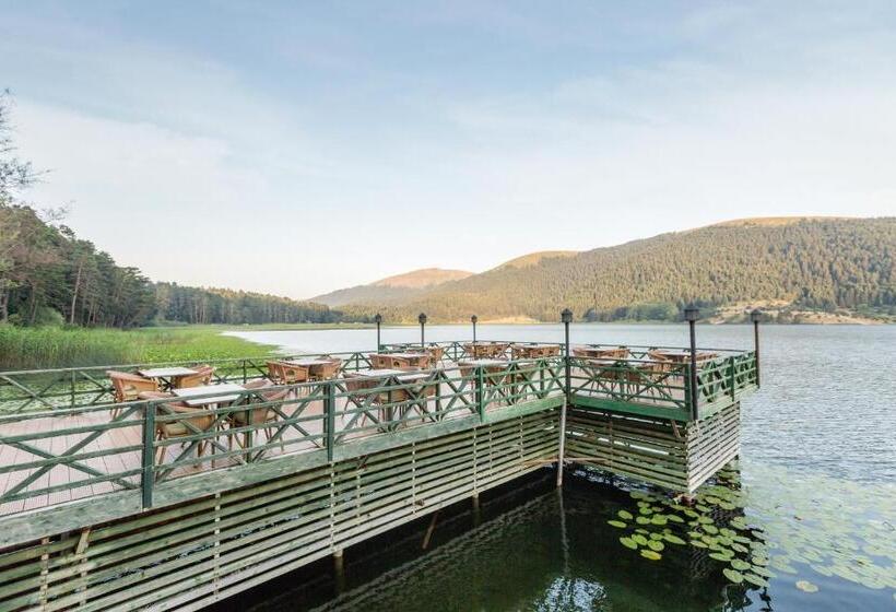 ホテル Buyuk Abant