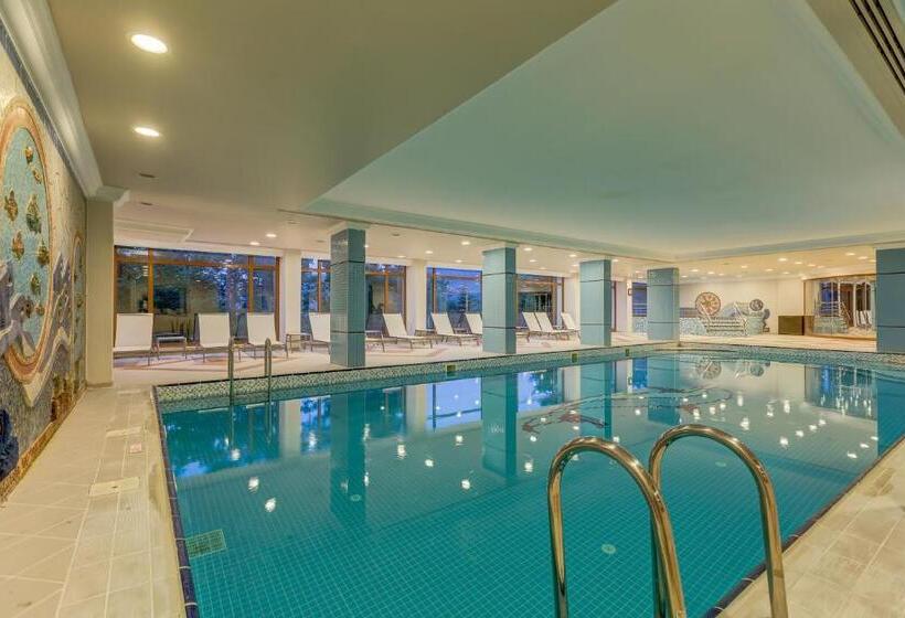 ホテル Buyuk Abant