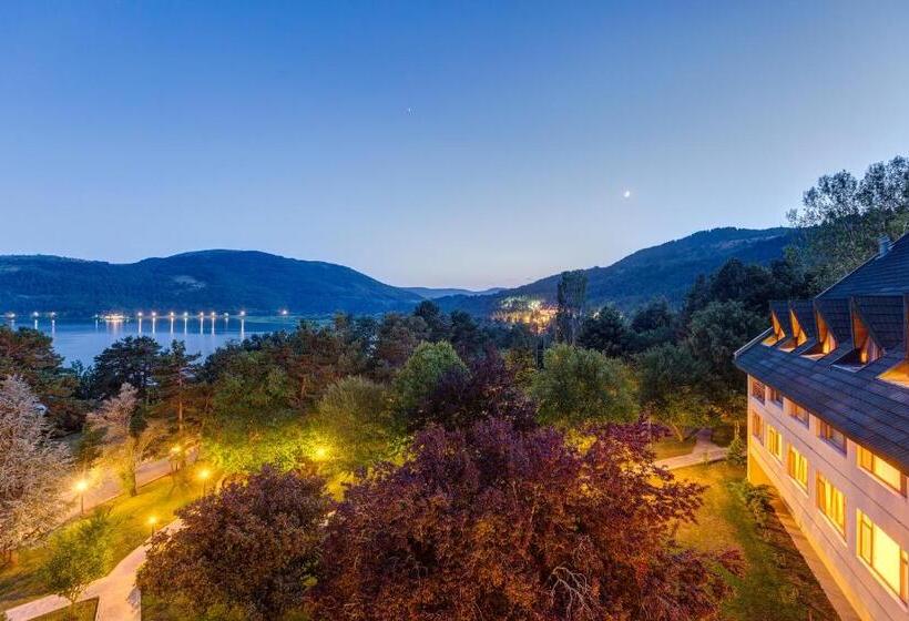 ホテル Buyuk Abant