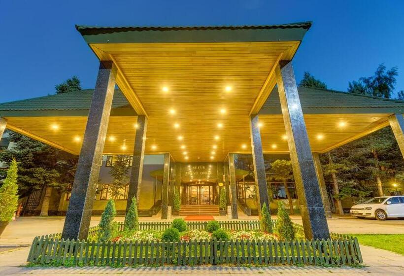 ホテル Buyuk Abant