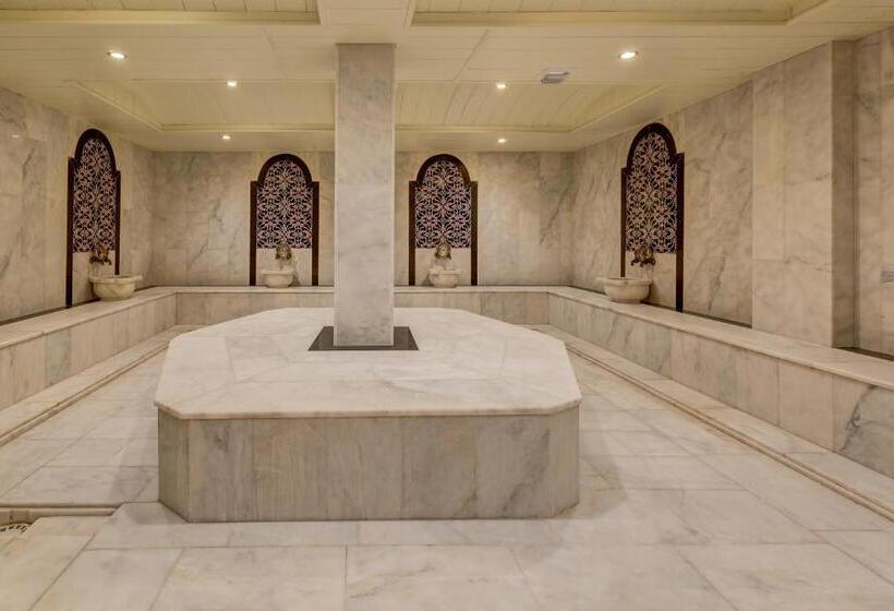 ホテル Buyuk Abant