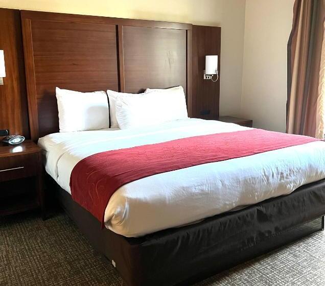 فندق Comfort Suites Texas Ave