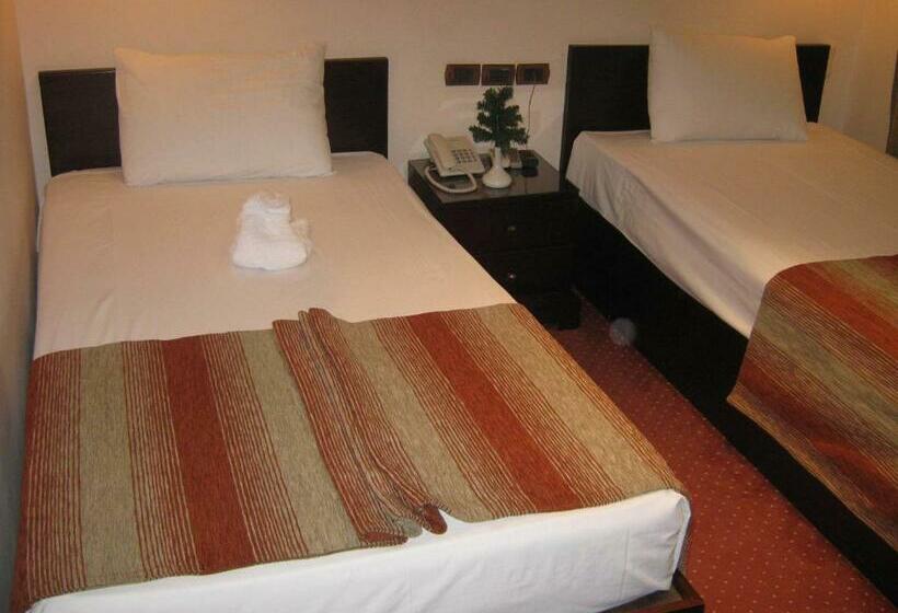 ホテル El Tonsy Cairo