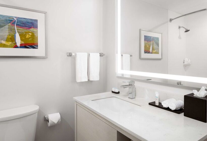בית מלון כפרי Embassy Suites By Hilton Tampa Airport Westshore