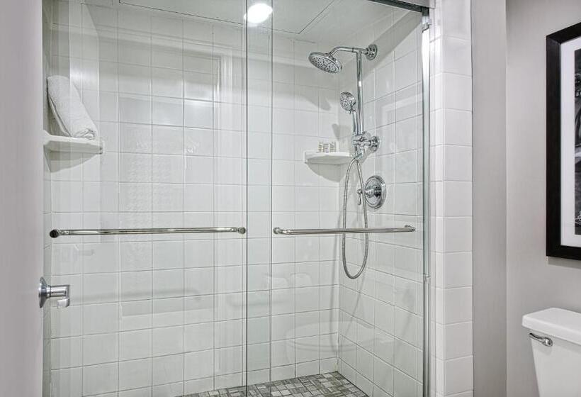 فندق Indigo Dallas Downtown, An Ihg