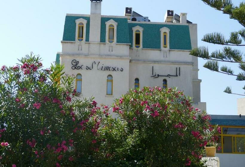 Отель Les Mimosas Tabarka