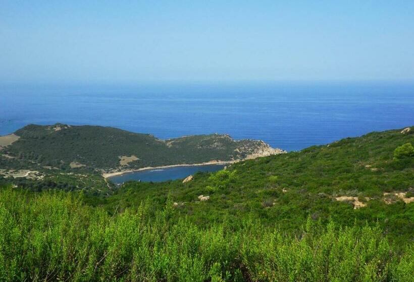 Отель Les Mimosas Tabarka