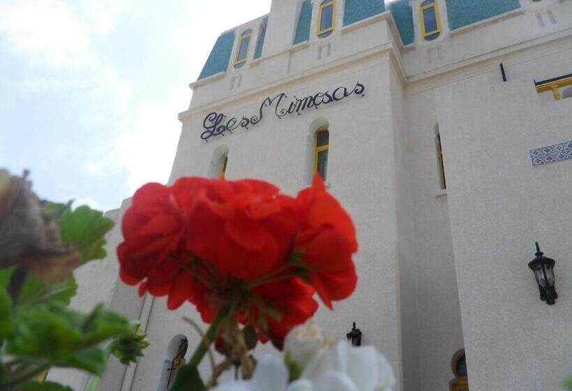 Отель Les Mimosas Tabarka