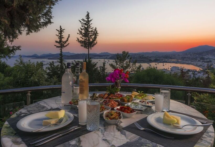 בית מלון כפרי Magna Manastir