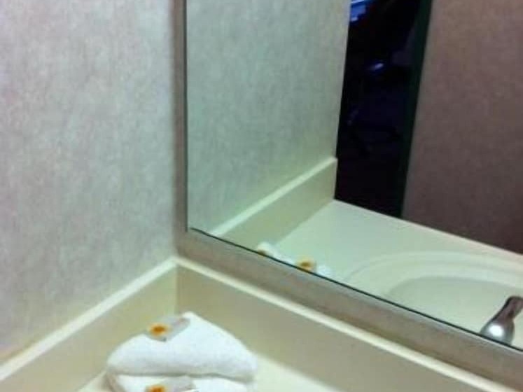 هتل O Hare Inn & Suites