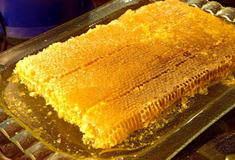 Radisson Hotel President Old Town Istanbul