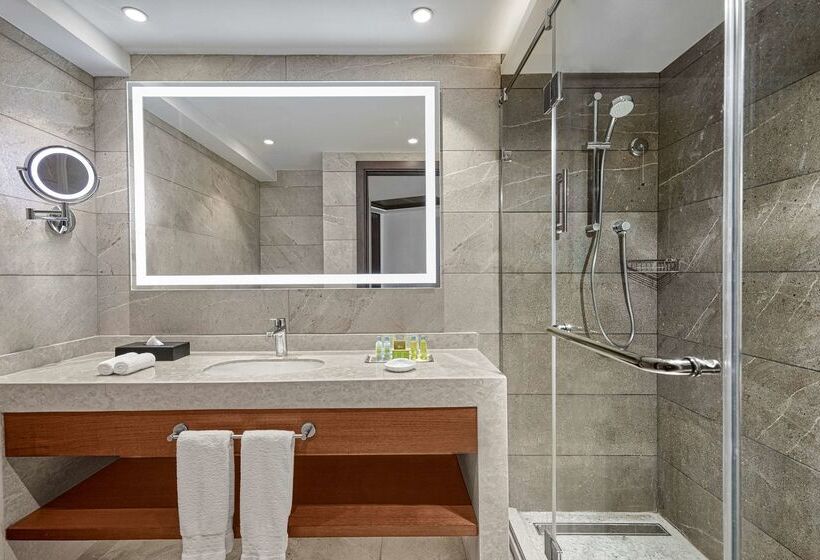 فندق Ramses Hilton