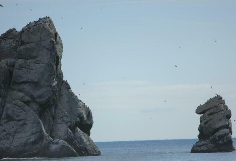 فندق Seaside Inn Morro Bay